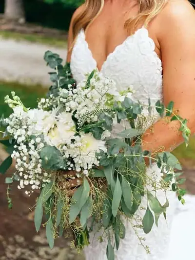 Eucalyptus
